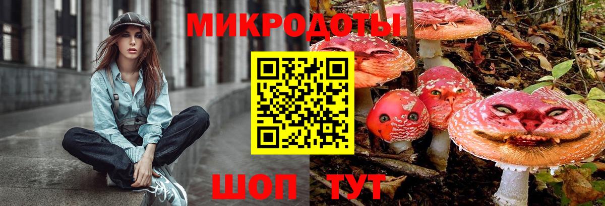 Галлюциногенные грибы мухоморы Курчатов