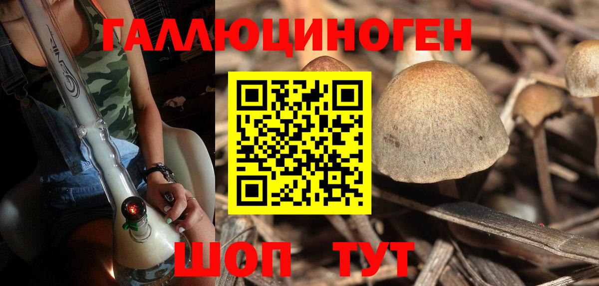 Псилоцибиновые грибы Psilocybe  Вход с VPN  Галлюциногенные грибы мицелий  Курчатов 